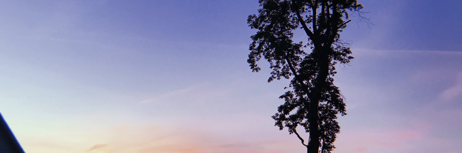 gray_ceee's profile banner image