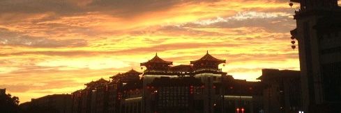 白茗 banner
