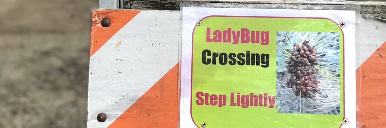 emilyewitt's profile banner image