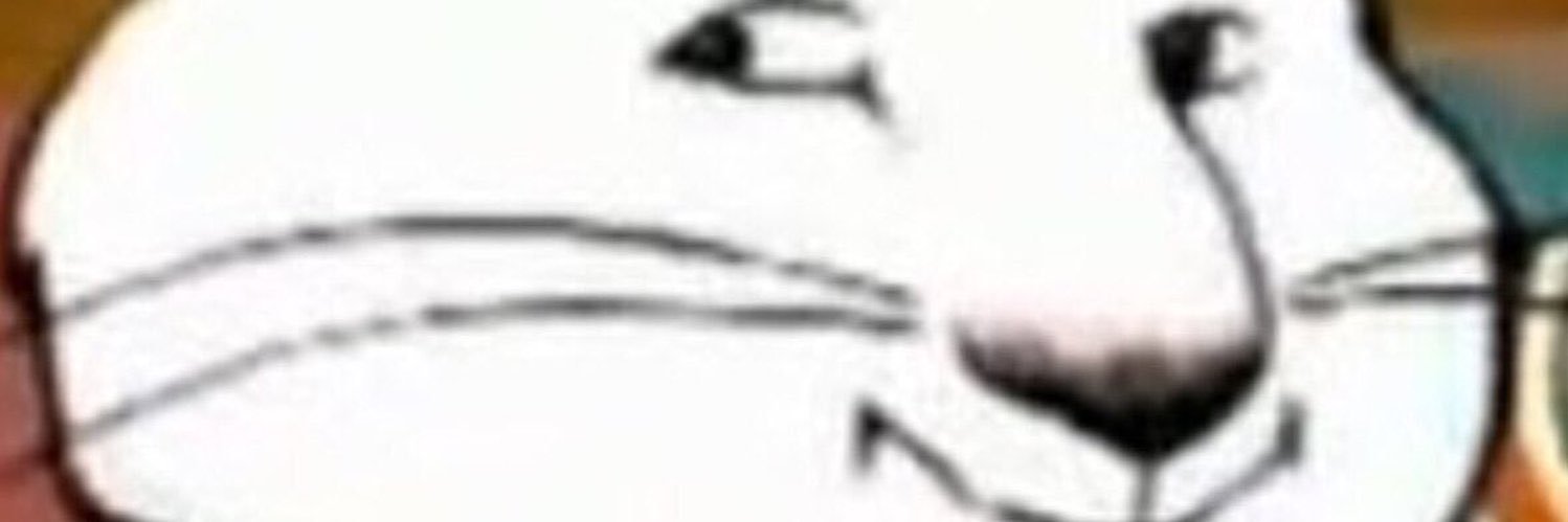 maxnrubystan's profile banner image