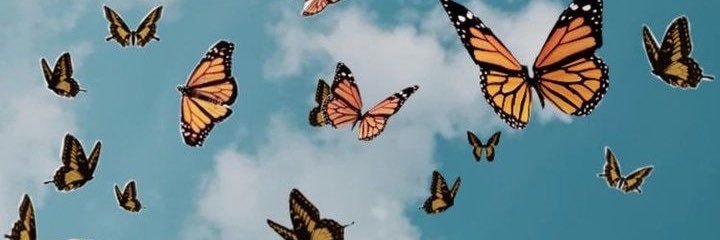 Belovedlupe's profile banner image
