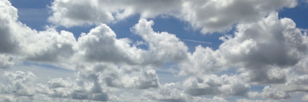 stengs's profile banner image