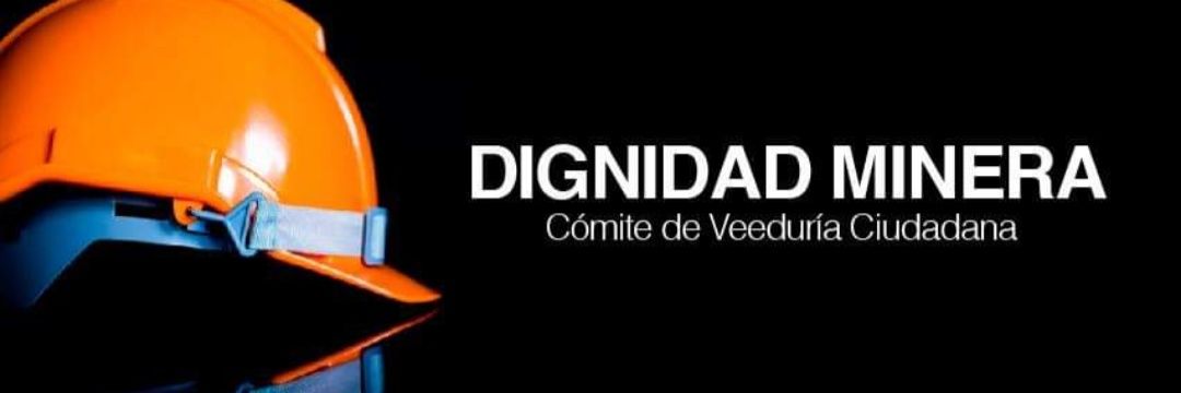 digniminera's profile banner image