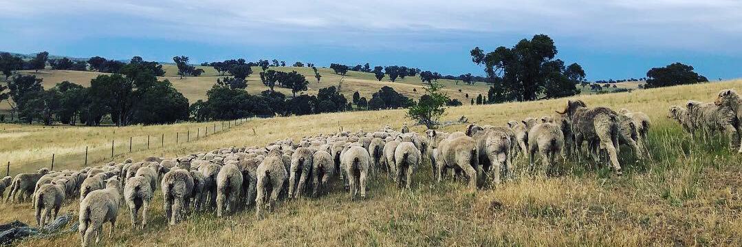 Joshua Gilbert banner