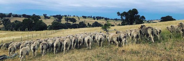 GilbertJoshuaM Profile Banner