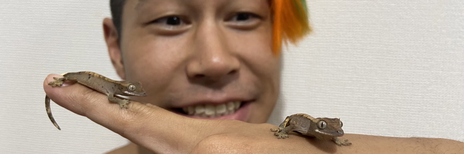 関札皓太🦎Kota Sekifuda banner