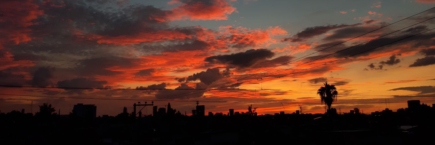 dany_martz's profile banner image