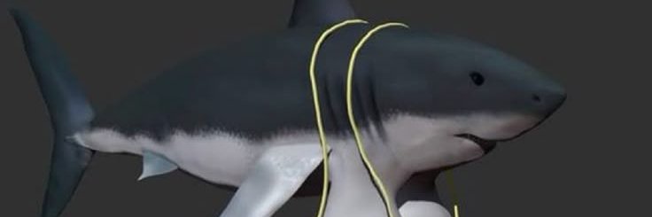 Golden Fox 🦊 banner