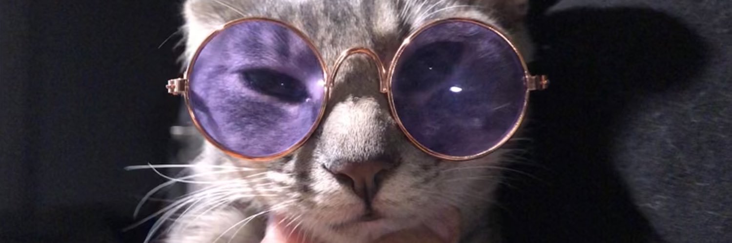 Fug_Pug's profile banner image