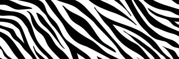 Punk5234 banner
