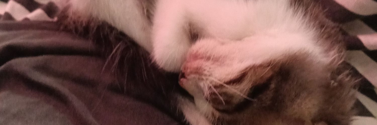 Phoque Comms open banner