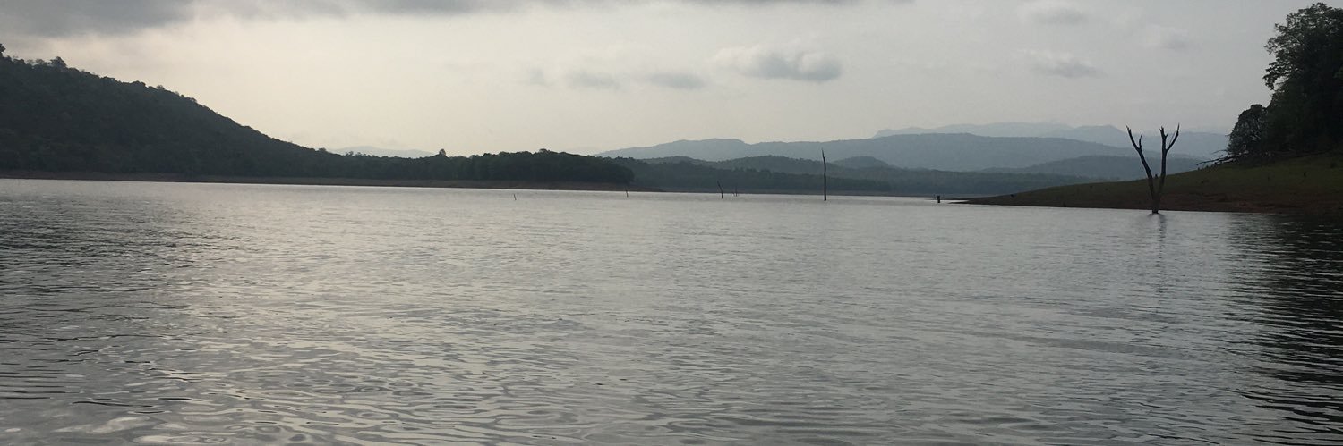 sduttadas's profile banner image