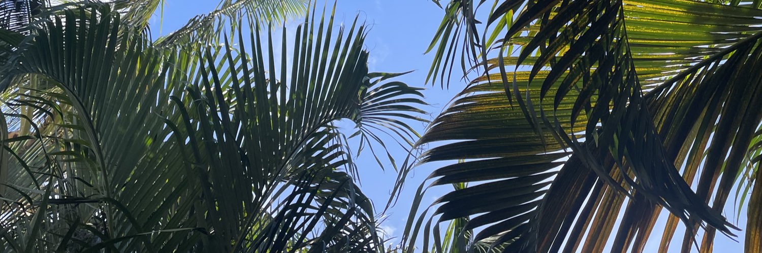 david 🌿's banner