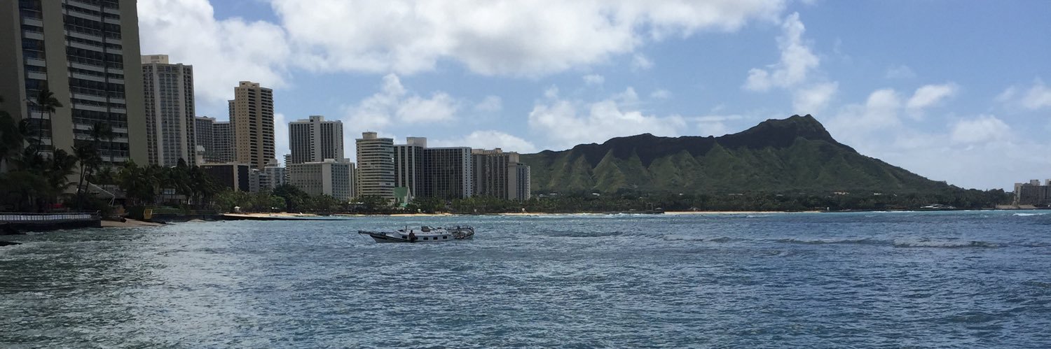 🖤 LIVING ALOHA ❤️ banner