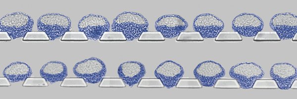 fu_jianping Profile Banner