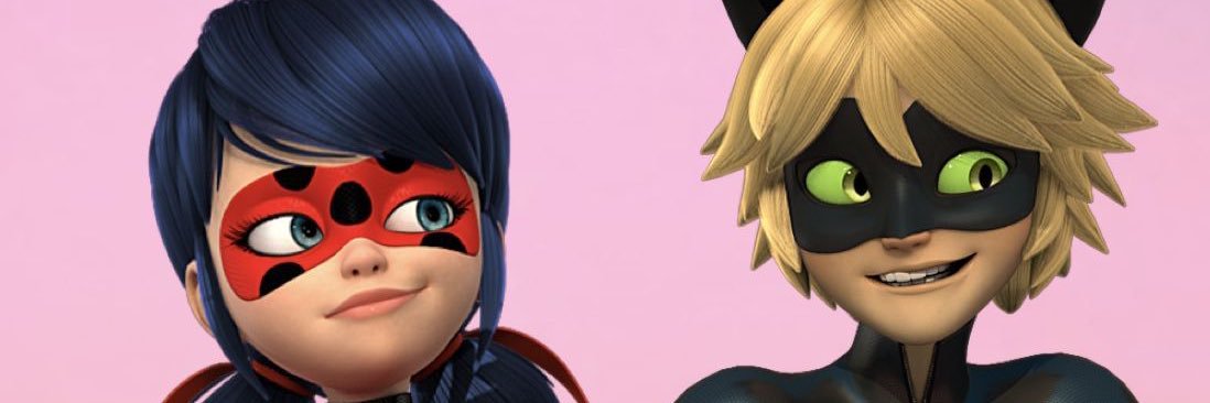 Cat Noir banner