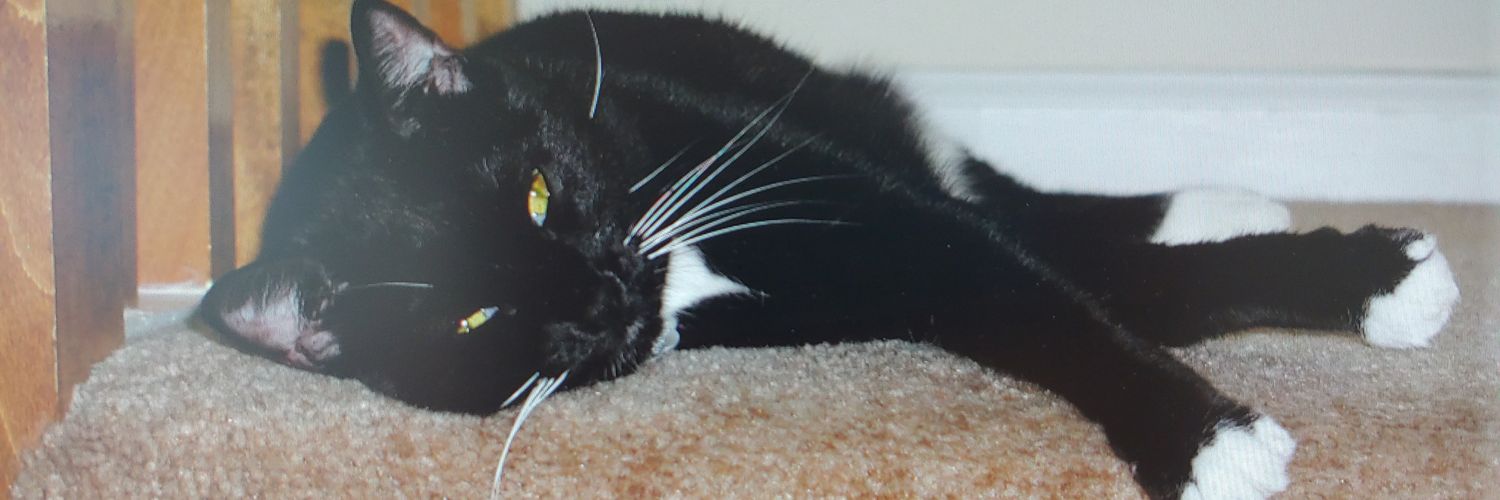 Cheryl Bushnell, MD, MHS, FAHA banner