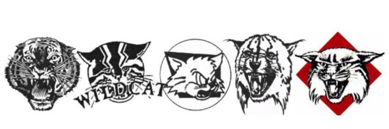 Lux's Litter Box banner