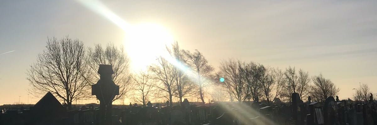 finbarrodoherty's profile banner image