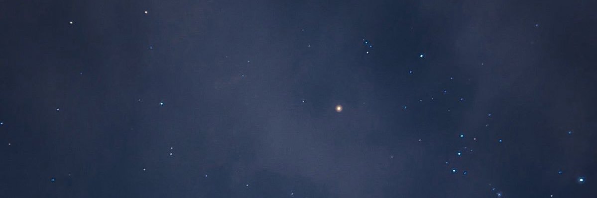 thatfattwhale's profile banner image