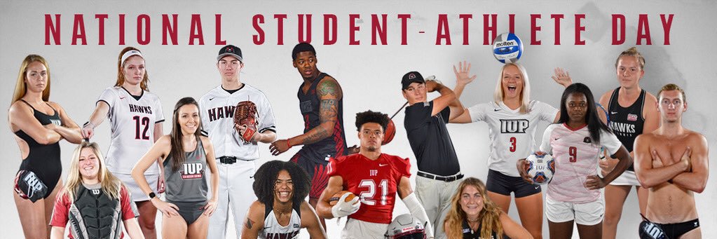 IUPSAAC1's profile banner image