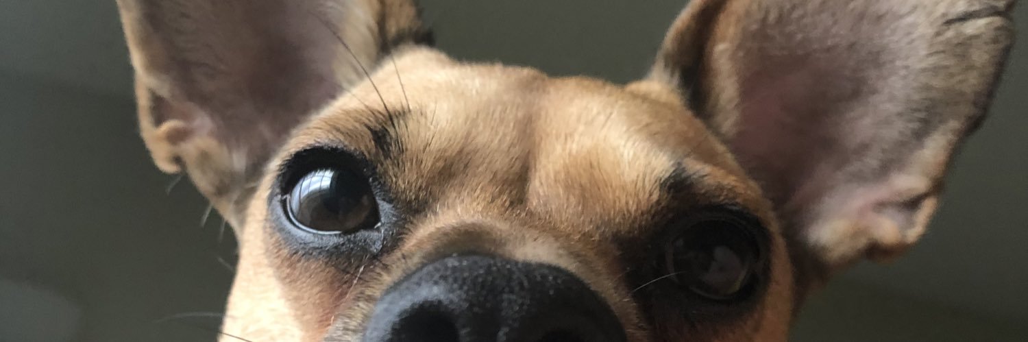 PrimeTimeDelite's profile banner image