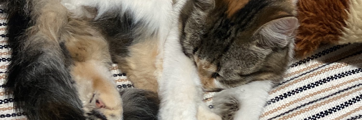 Belleexzz's profile banner image