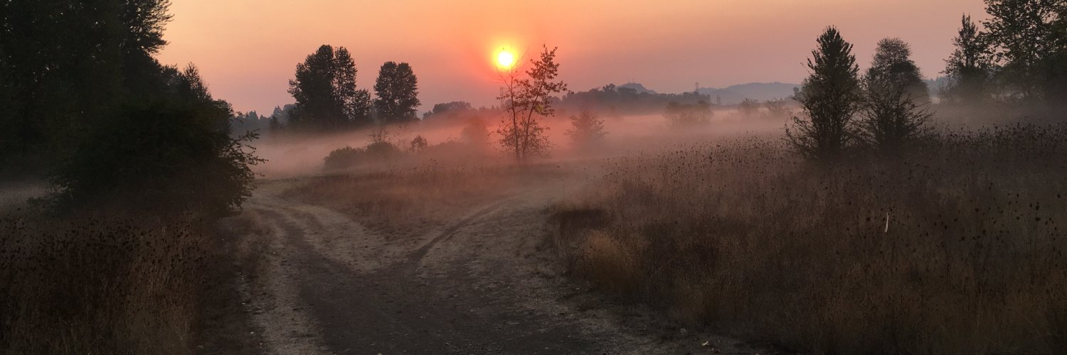 Whitney Phillips banner