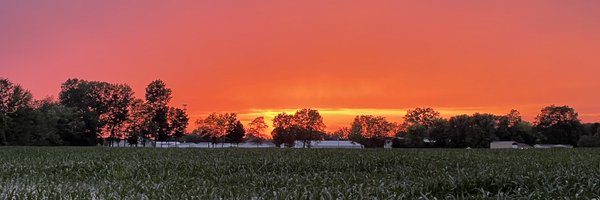 harpe_lily Profile Banner