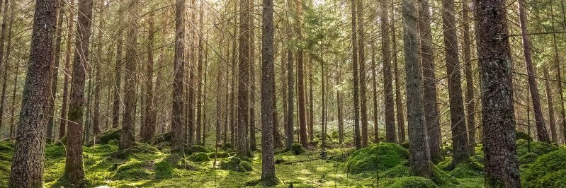 Erin Hercules MD, MBA banner