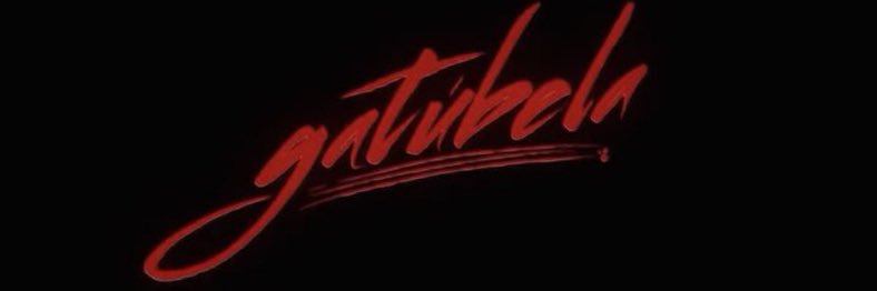 𝕾𝖆𝖘𝖍𝖆 💣 banner