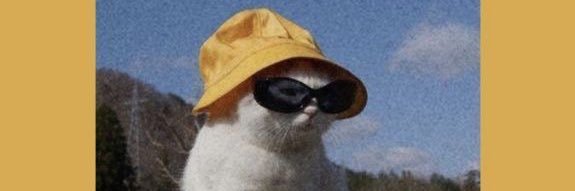 mic_williamss's profile banner image