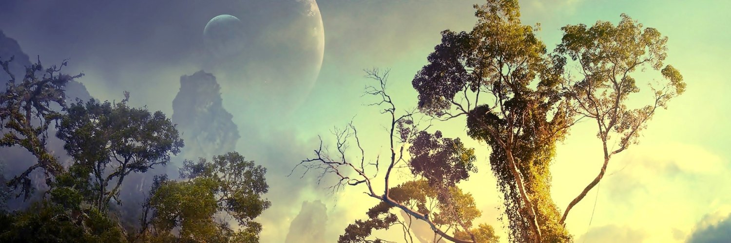 ape_another's profile banner image
