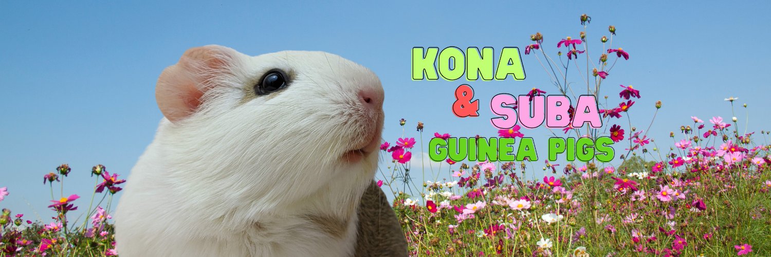 Kona and Suba's banner