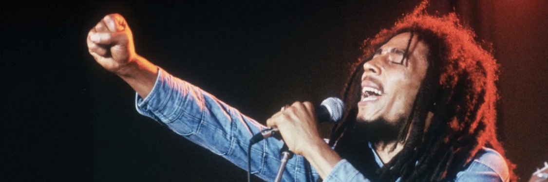 Bob Gnarly banner