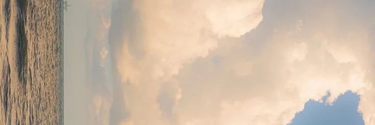 Angel🕊️ banner
