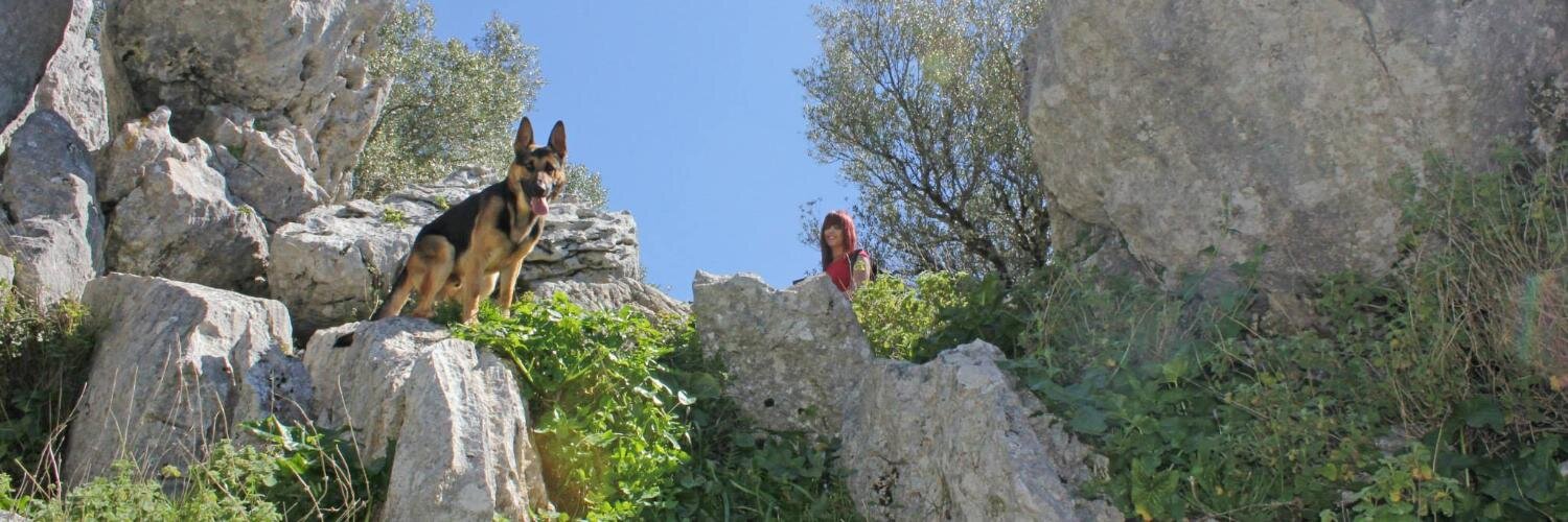 Lucasplashplash's profile banner image