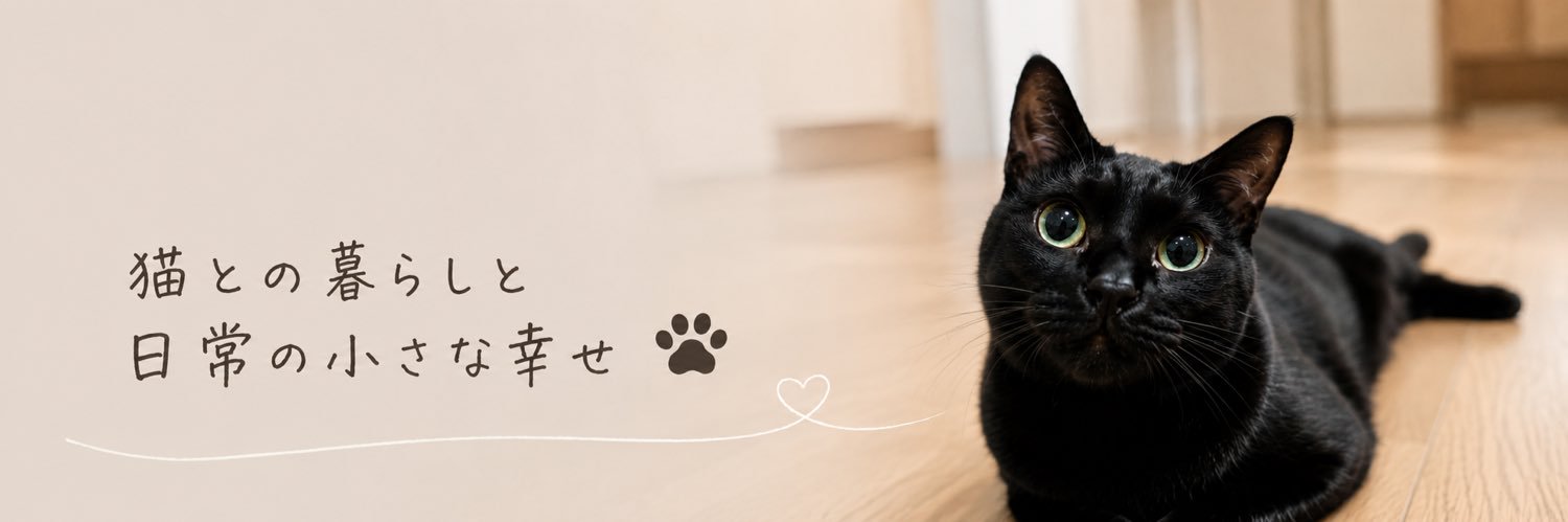 Ra_Limu's profile banner image