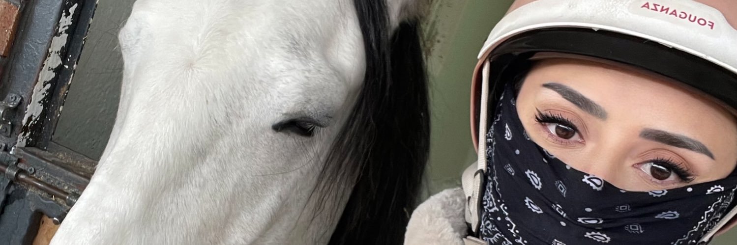 pelinwitter's profile banner image