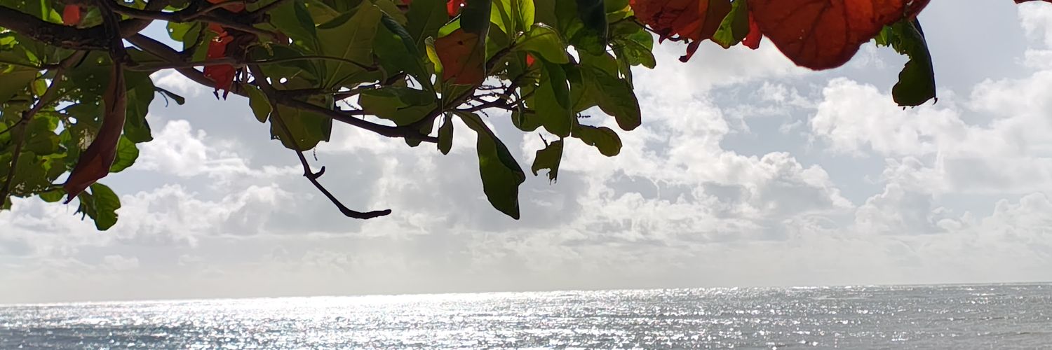 JosiasRincon's profile banner image