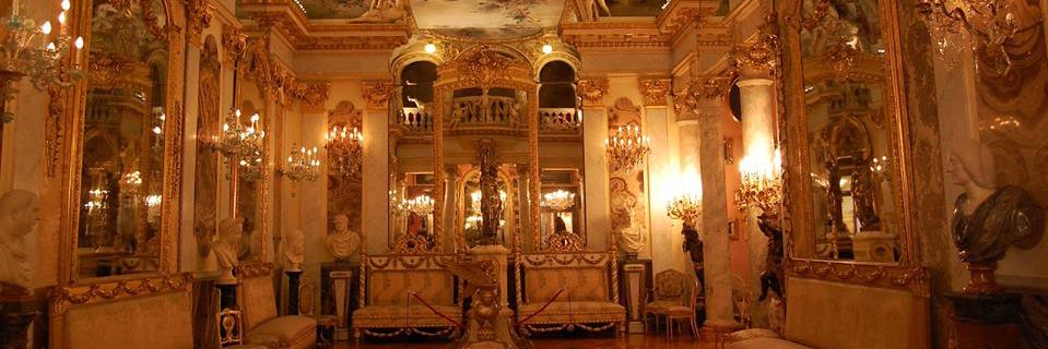 reginagallucci's profile banner image