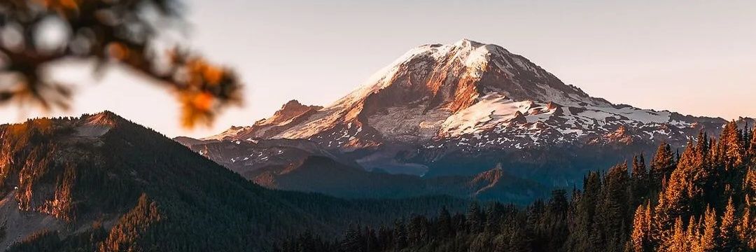 Anthony66296713's profile banner image