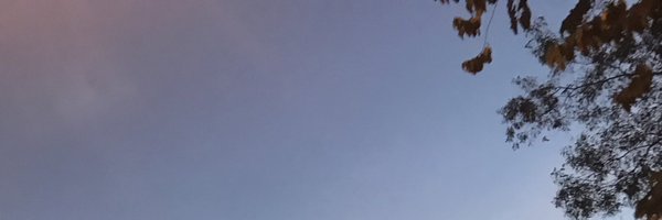 meejforshort Profile Banner