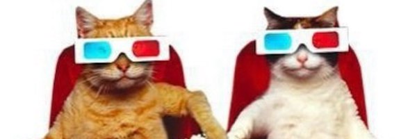 bigcatburger Profile Banner