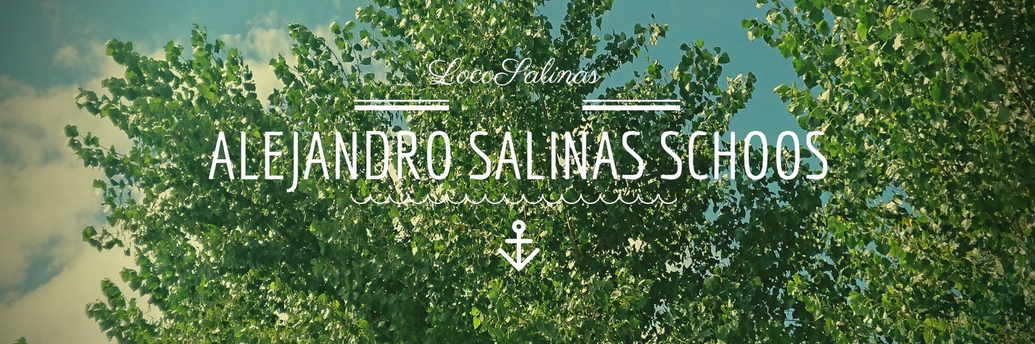 Locosalinas's profile banner image
