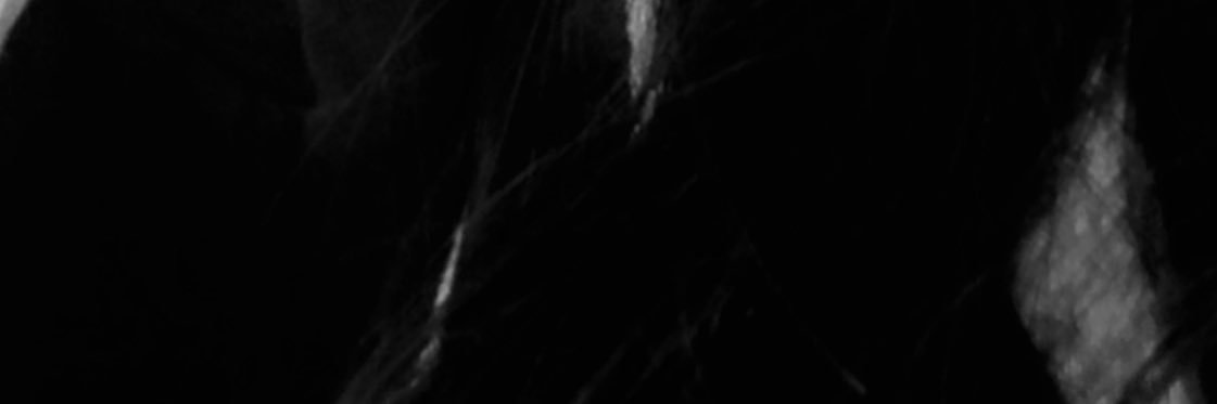 c3c3y0's profile banner image
