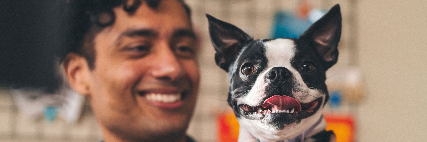 Figo Pet Insurance banner