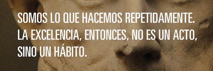 ceciocamposb's profile banner image