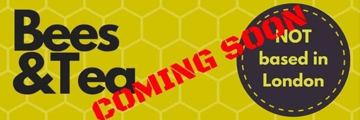 Puddleducker's profile banner image