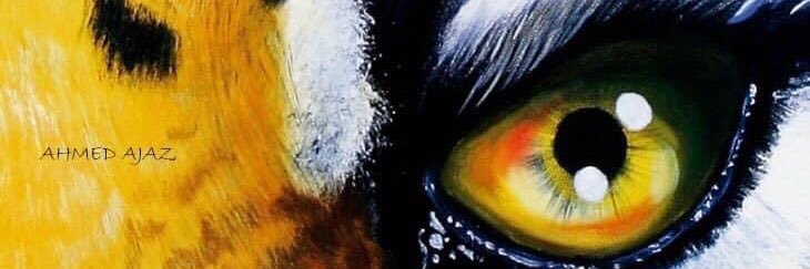 ajazx's profile banner image